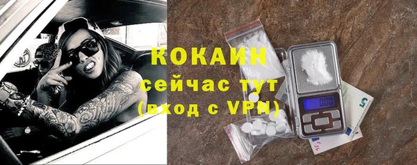 дмт Осташков