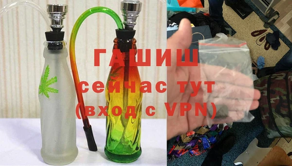 индика Няндома