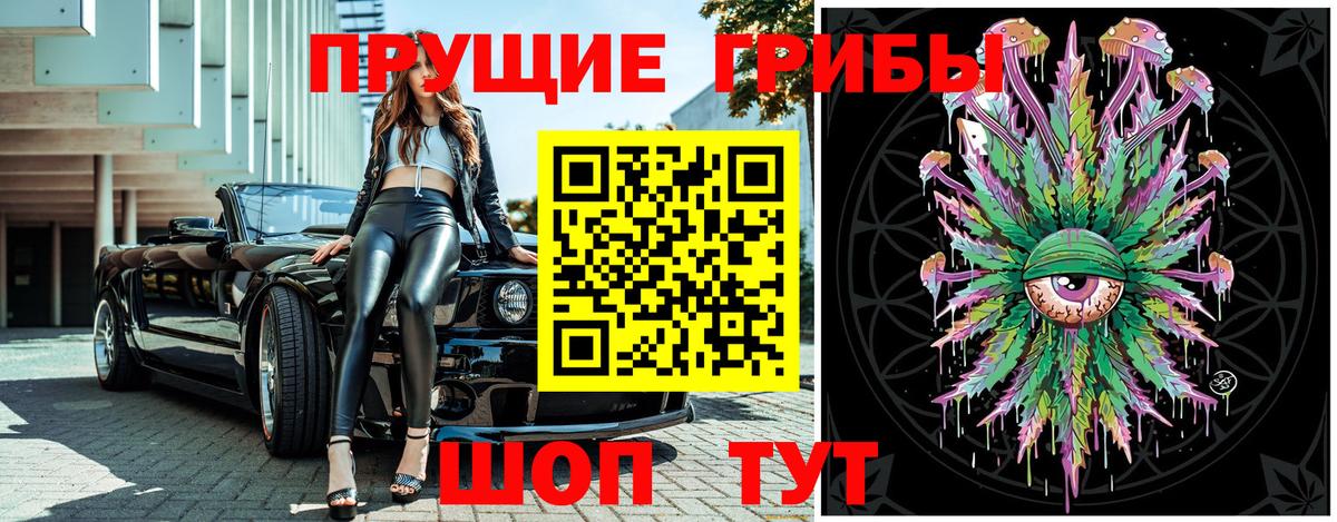 Псилоцибиновые грибы Psilocybine cubensis Лабытнанги