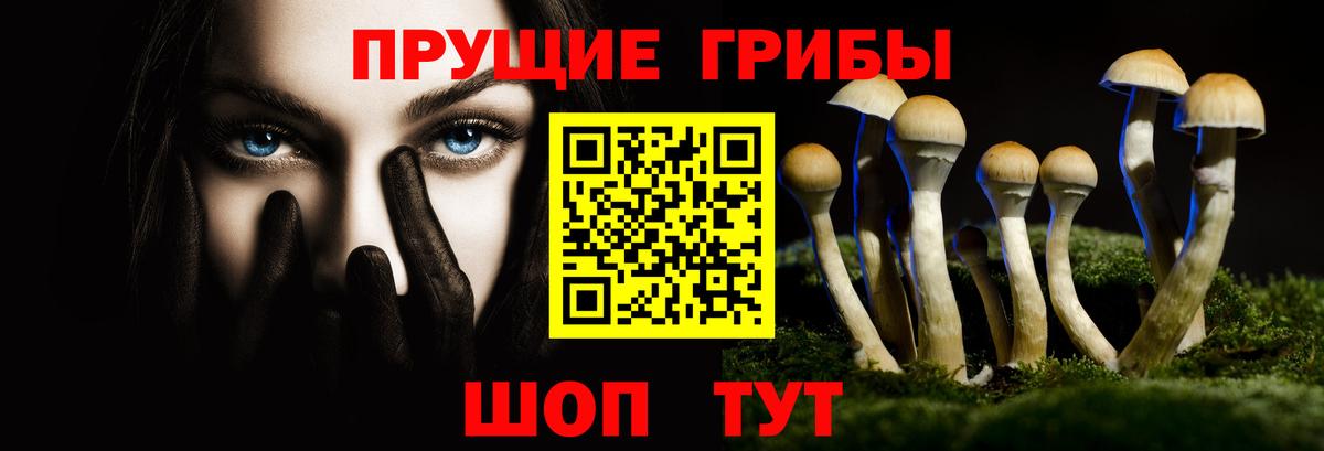 Псилоцибиновые грибы Psilocybine cubensis  Вход с VPN  Псилоцибиновые грибы GOLDEN TEACHER  купить наркотики сайты  Лабытнанги 